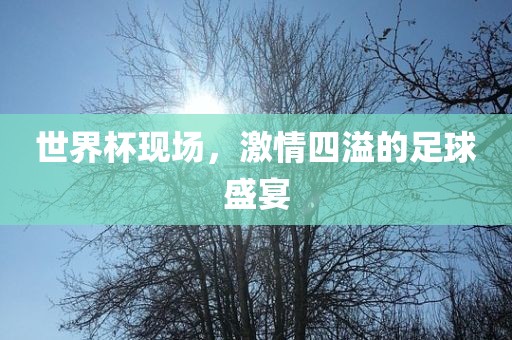 世界杯现场，激情四溢的足球盛宴