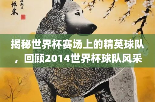 揭秘世界杯赛场上的精英球队，回顾2014世界杯球队风采