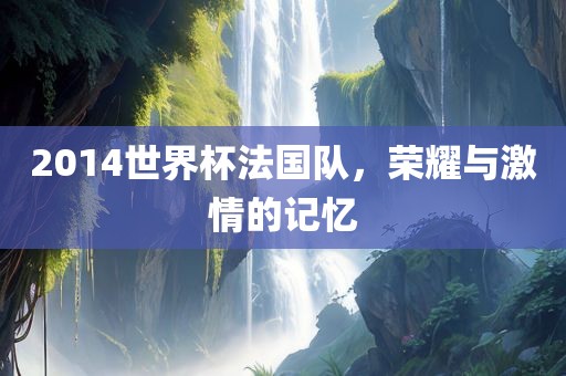 2014世界杯法国队，荣耀与激情的记忆