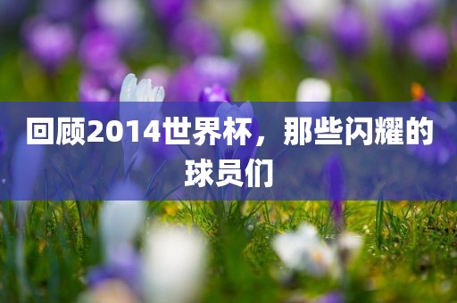 回顾2014世界杯，那些闪耀的球员们