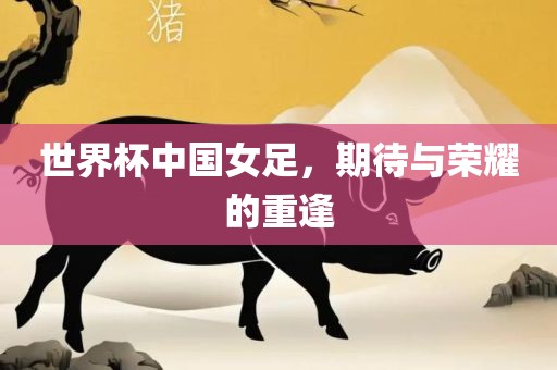世界杯中国女足，期待与荣耀的重逢