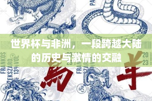 世界杯与非洲，一段跨越大陆的历史与激情的交融