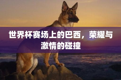 世界杯赛场上的巴西，荣耀与激情的碰撞