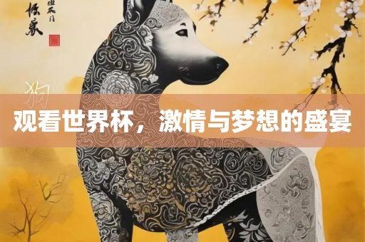 观看世界杯，激情与梦想的盛宴