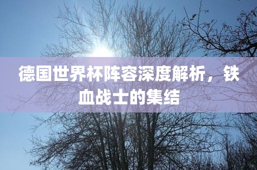 德国世界杯阵容深度解析，铁血战士的集结