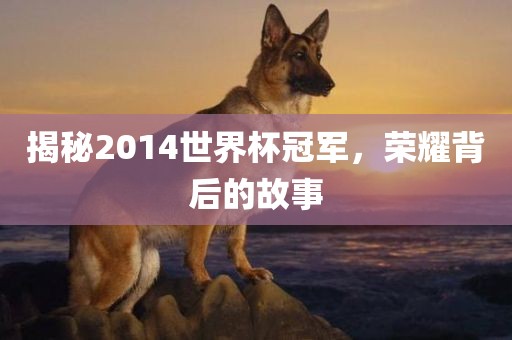 揭秘2014世界杯冠军，荣耀背后的故事
