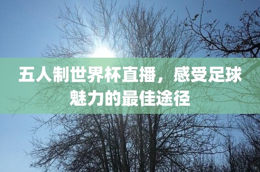 五人制世界杯直播，感受足球魅力的最佳途径