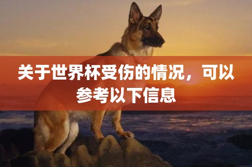 关于世界杯受伤的情况，可以参考以下信息