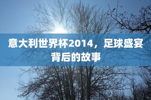 意大利世界杯2014，足球盛宴背后的故事