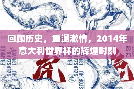 回顾历史，重温激情，2014年意大利世界杯的辉煌时刻