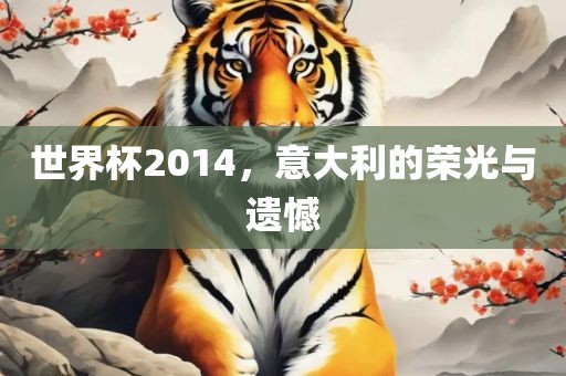 世界杯2014，意大利的荣光与遗憾