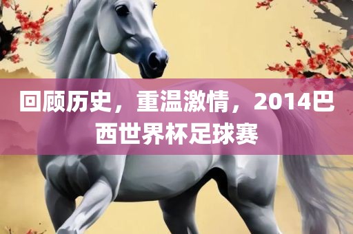 回顾历史，重温激情，2014巴西世界杯足球赛