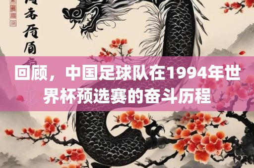 回顾，中国足球队在1994年世界杯预选赛的奋斗历程