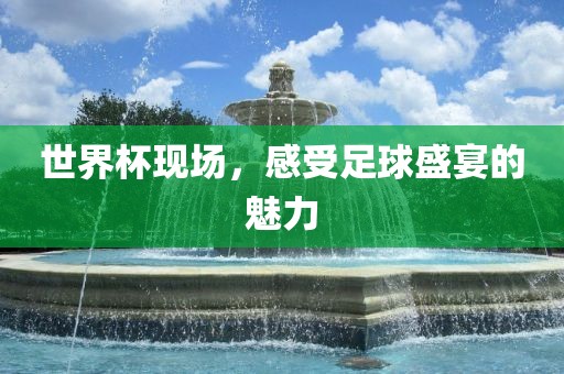 世界杯现场，感受足球盛宴的魅力