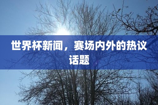 世界杯新闻，赛场内外的热议话题