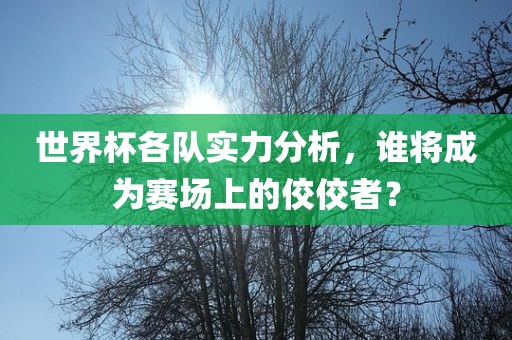 世界杯各队实力分析，谁将成为赛场上的佼佼者？