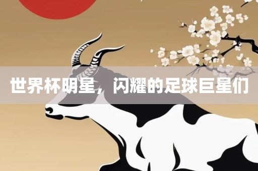 世界杯明星，闪耀的足球巨星们
