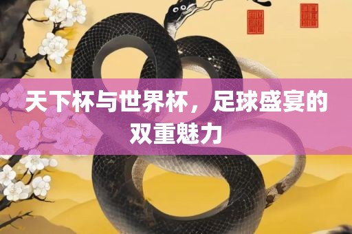 天下杯与世界杯，足球盛宴的双重魅力