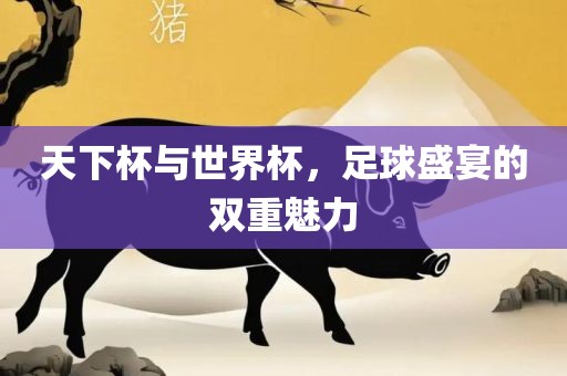天下杯与世界杯，足球盛宴的双重魅力