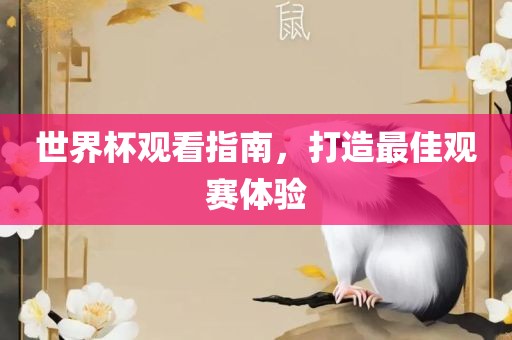 世界杯观看指南，打造最佳观赛体验