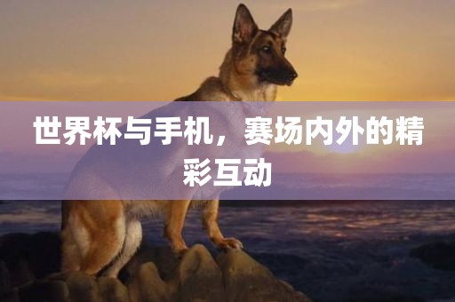 世界杯与手机，赛场内外的精彩互动