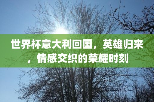 世界杯意大利回国，英雄归来，情感交织的荣耀时刻