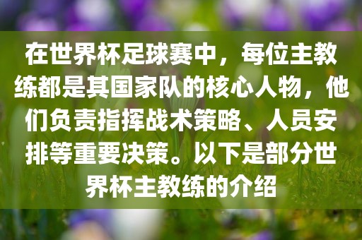 在世界杯足球赛中，每位主教练都是其国家队的核心人物，他们负责指挥战术策略、人员安排等重要决策。以下是部分世界杯主教练的介绍