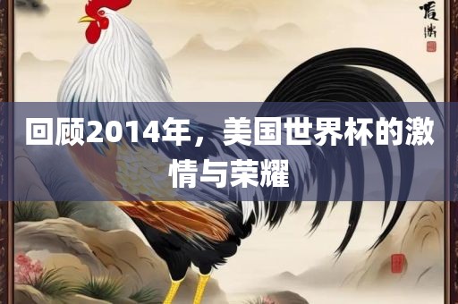 回顾2014年，美国世界杯的激情与荣耀