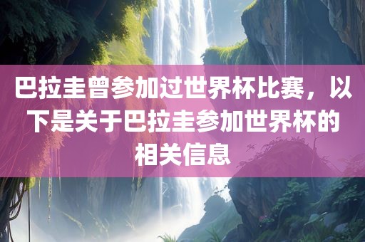 巴拉圭曾参加过世界杯比赛，以下是关于巴拉圭参加世界杯的相关信息