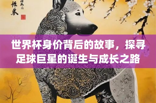 世界杯身价背后的故事，探寻足球巨星的诞生与成长之路