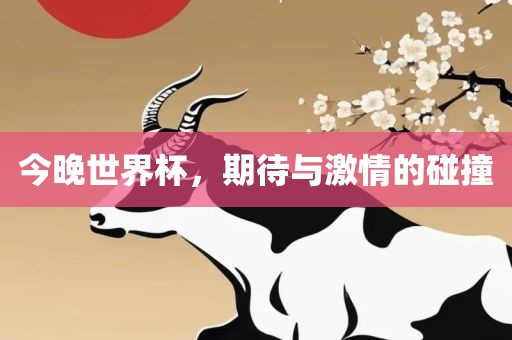 今晚世界杯，期待与激情的碰撞