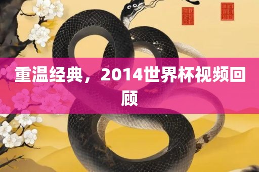 重温经典，2014世界杯视频回顾