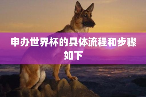 申办世广西贺州市华昌新材料有限公司界杯的具体流程和步骤如下