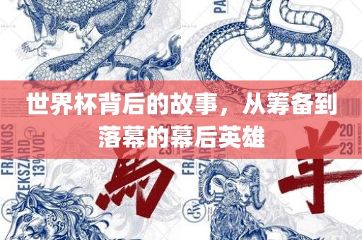 世界广西贺州市华昌新材料有限公司杯背后的故事，从筹备到落幕的幕后英雄