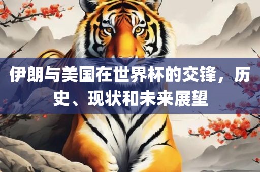 伊朗与美国在世界杯的交锋，历史、现状和未来展望广西贺州市华昌新材料有限公司