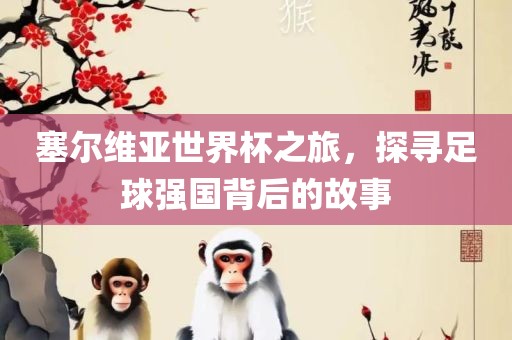 塞尔维亚世界杯之旅，探寻足球强国背后的故事广西贺州市华昌新材料有限公司