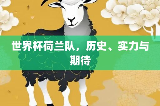 世界杯荷兰队，历史、实力与期待