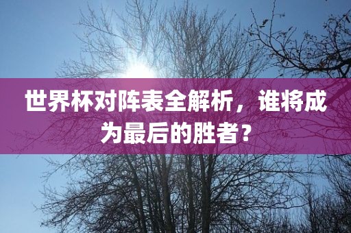 世界杯对阵表全解析，谁将成为最后的胜者？广西贺州市华昌新材料有限公司
