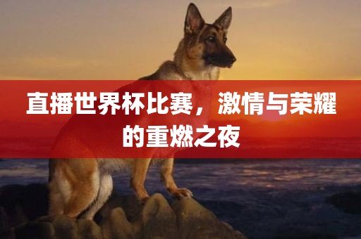 直播世界杯比赛，激情与荣耀的重燃之夜广西贺州市华昌新材料有限公司