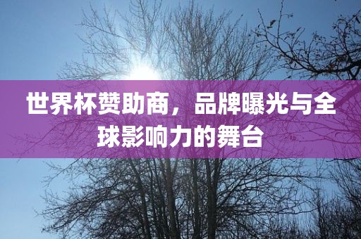 世界杯赞助商，品牌曝光与全球影响力的舞台