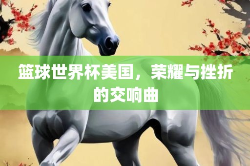 篮球世界杯美国，荣耀与挫折的交响曲广西贺州市华昌新材料有限公司