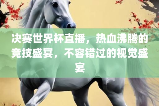 决赛世界杯直播，热血沸腾的竞技盛宴，不容错过的视觉盛宴