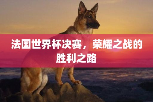 法国世界杯决赛，荣耀之战的胜利之路广西贺州市华昌新材料有限公司