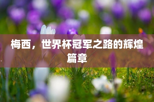 梅西，世界杯冠军之路的辉煌篇章广西贺州市华昌新材料有限公司