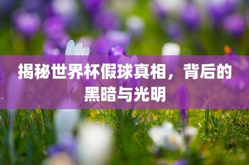揭秘世界杯假球广西贺州市华昌新材料有限公司真相，背后的黑暗与光明