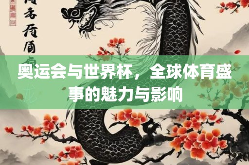 奥运会与世界杯，全球体育盛事的魅力与影响