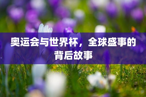 奥运会与世界杯，全球盛事的背后故事广西贺州市华昌新材料有限公司