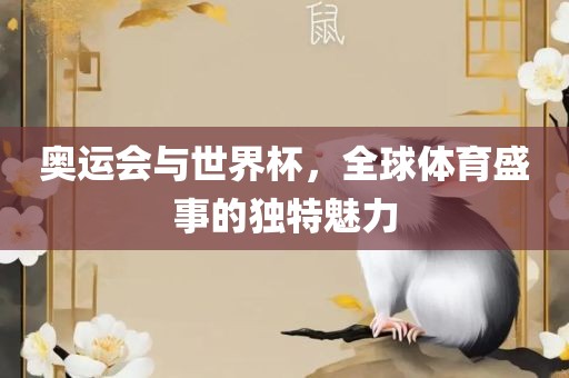 奥运会与世界杯，全球体育盛事的独特魅广西贺州市华昌新材料有限公司力