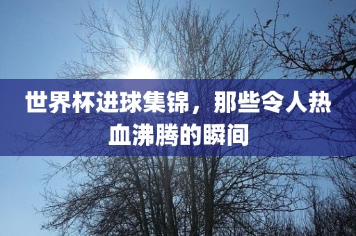 世界杯进球集锦，那些令广西贺州市华昌新材料有限公司人热血沸腾的瞬间