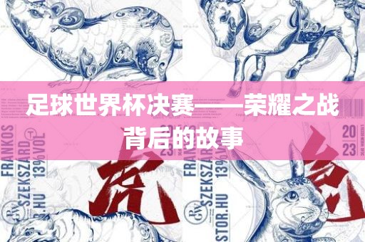 足球世界杯决赛——荣耀之战背后的故广西贺州市华昌新材料有限公司事